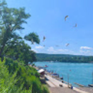 Meet your Posher, Abigail